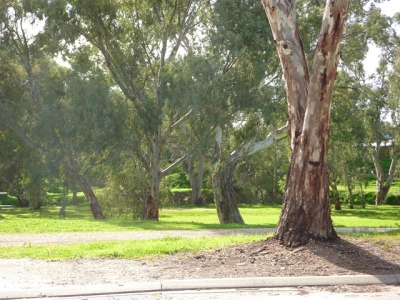 28 Lawrence Avenue, Gawler South SA 5118