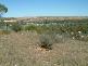 LOT 91, CRAWFORD CRESCENT, Mannum SA 5238