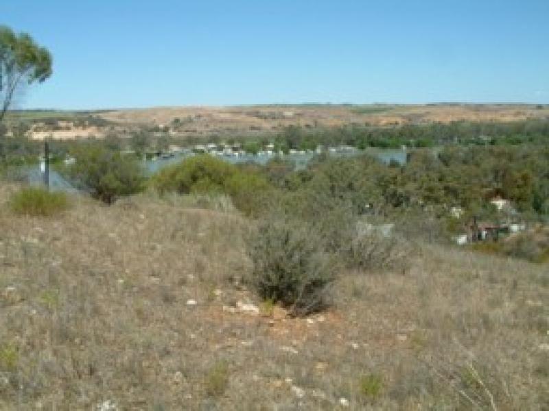 LOT 91, CRAWFORD CRESCENT, Mannum SA 5238