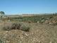 LOT 91, CRAWFORD CRESCENT, Mannum SA 5238