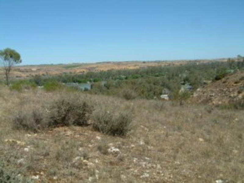 LOT 91, CRAWFORD CRESCENT, Mannum SA 5238