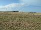 IBIS DRIVE, (14 ALLOTMENTS), Mannum SA 5238