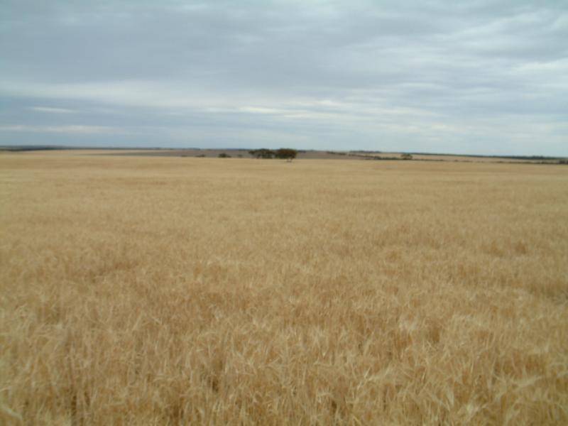 LOT 2, BOW HILL ROAD, Mannum SA 5238