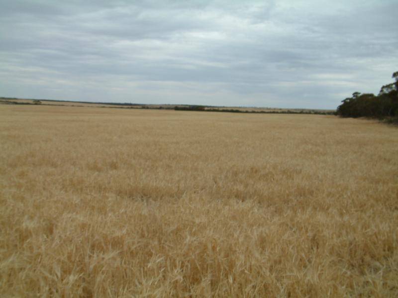 LOT 2, BOW HILL ROAD, Mannum SA 5238