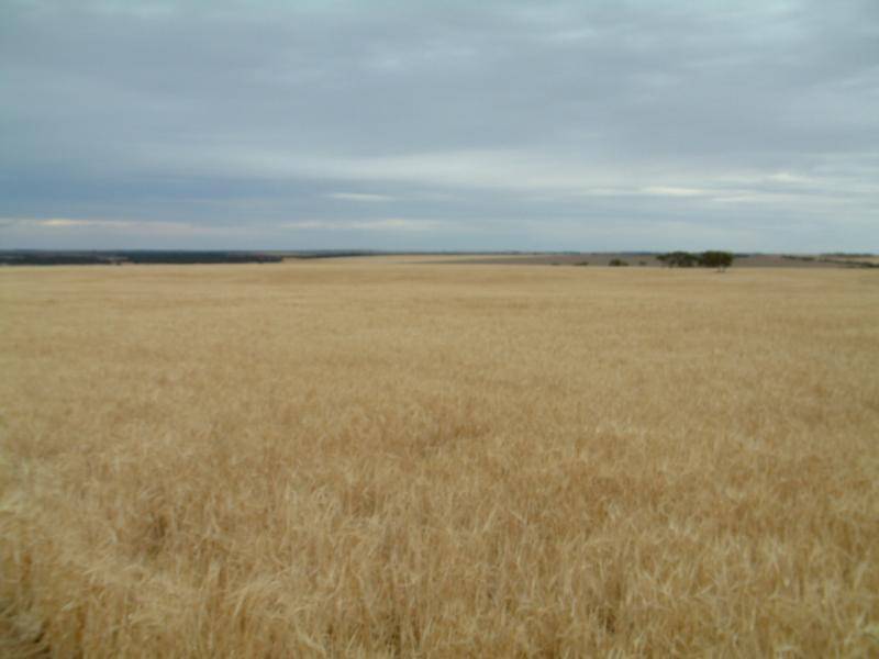 LOT 2, BOW HILL ROAD, Mannum SA 5238