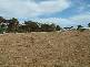 LOT 1 CRAWFORD CRESCENT, Mannum SA 5238