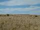 LOT 1 CRAWFORD CRESCENT, Mannum SA 5238