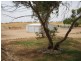 Lot 8 Sedan Road, Mannum SA 5238