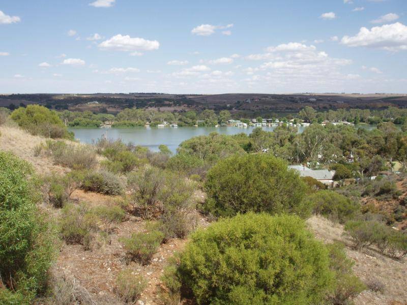 42 CRAWFORD CRESCENT, Mannum SA 5238