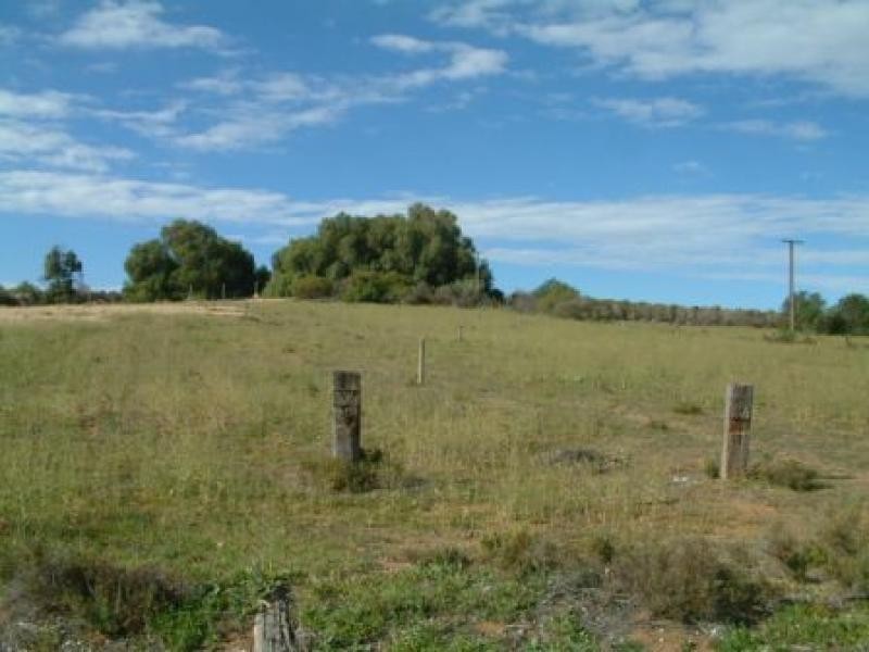 LOT 252 CONNORS ROAD, Swan Reach SA 5354