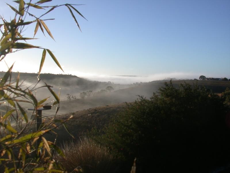 54 DOLLARD AVENUE, Mannum SA 5238