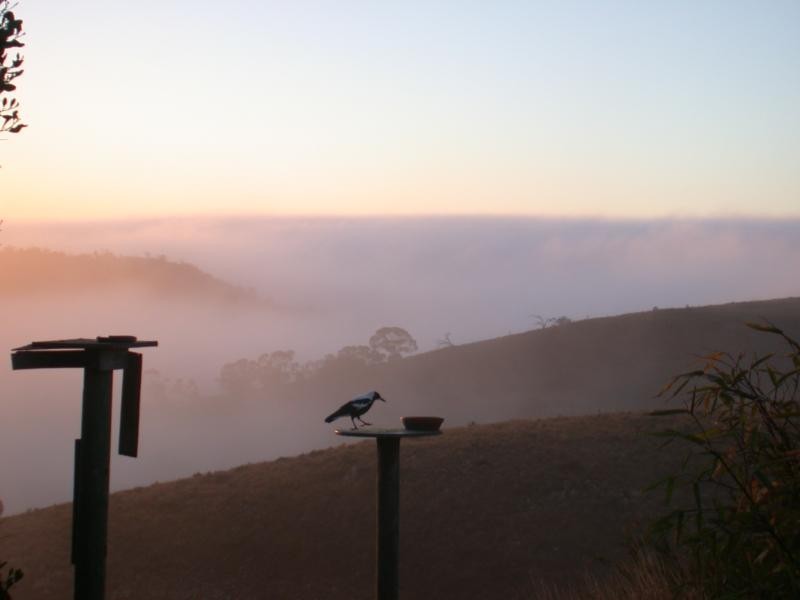 54 DOLLARD AVENUE, Mannum SA 5238