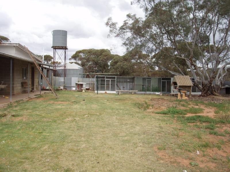 Copeville SA 5308
