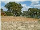 LOT 52/53 PURNONG ROAD, Mannum SA 5238