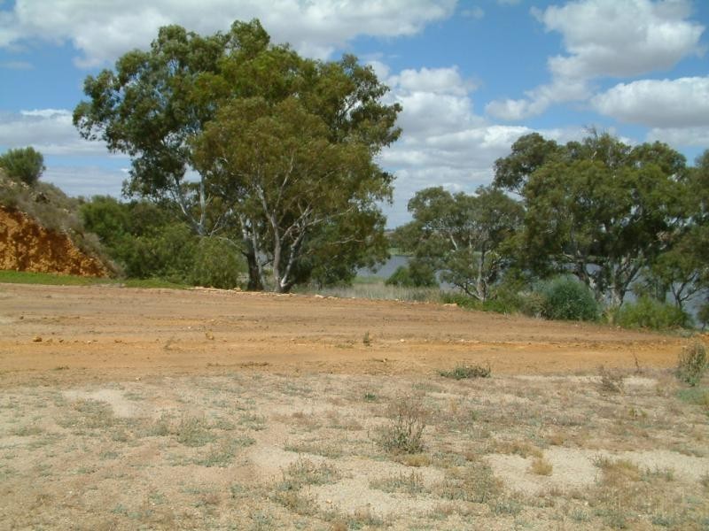 LOT 52/53 PURNONG ROAD, Mannum SA 5238