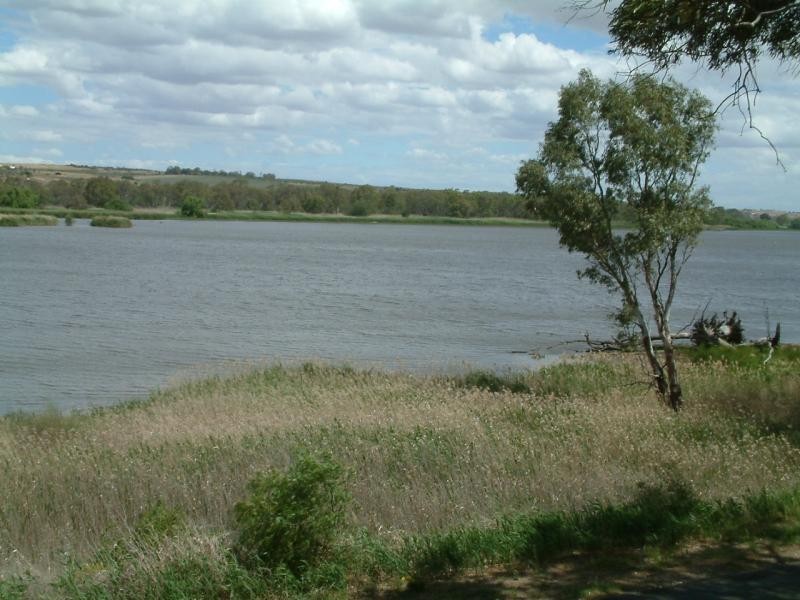 51 PURNONG ROAD, Mannum SA 5238