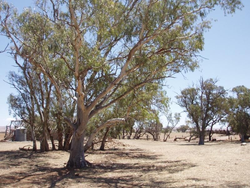 Lot 111/ Bank Road, Sedan SA 5353