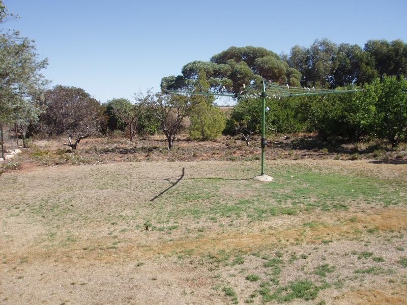 Section 443 Bakara Road, Nildottie SA 5238