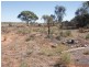 Section 443 Bakara Road, Nildottie SA 5238