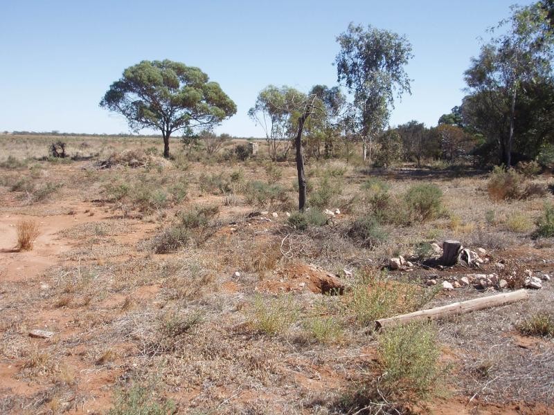 Section 443 Bakara Road, Nildottie SA 5238