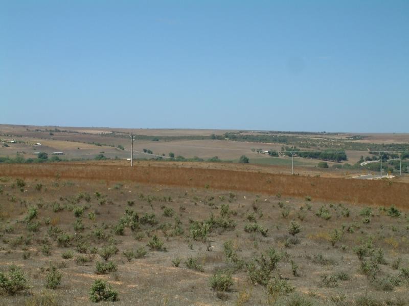 Lot 10 Kirkness/Omega Roads Shearer Heights, Mannum SA 5238