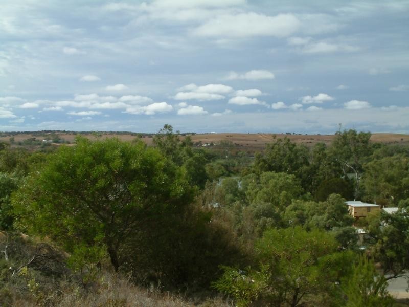 53 Esplanade, Mannum SA 5238