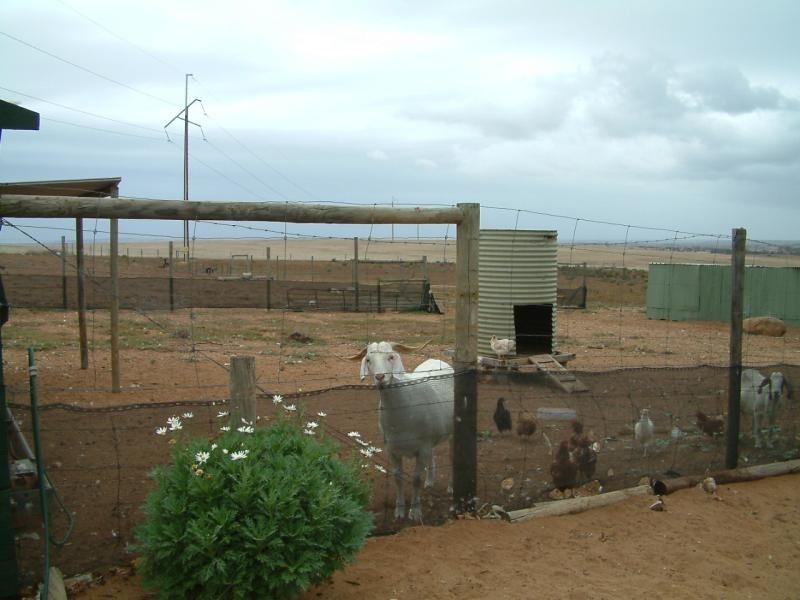 Lot 1 Keith Road, Mannum SA 5238