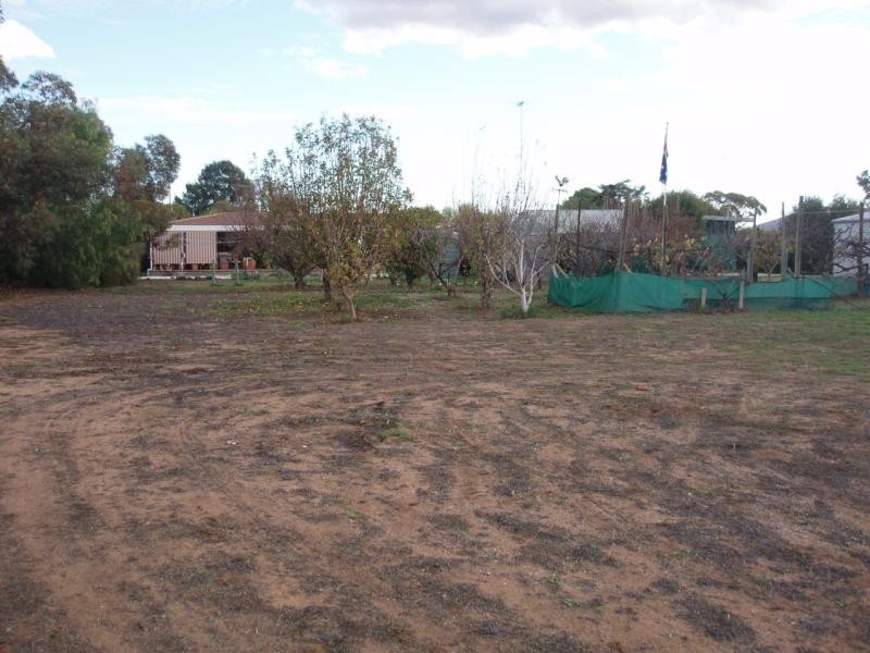 36 Phillip Avenue, Swan Reach SA 5354