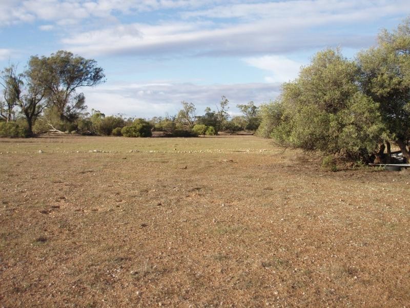 Allotment 10 Pipeline Subdivision, Swan Reach SA 5354