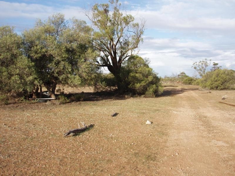 Allotment 10 Pipeline Subdivision, Swan Reach SA 5354