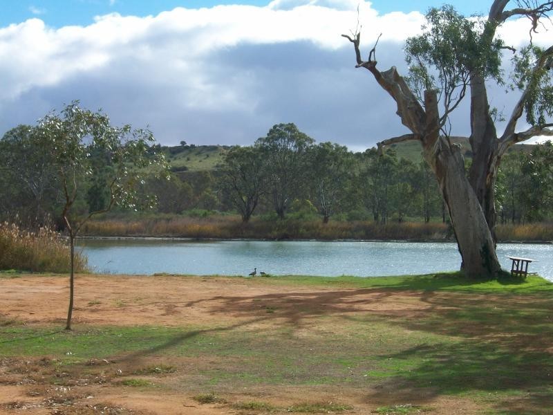 45 Schmidt Lane, Bowhill SA 5238