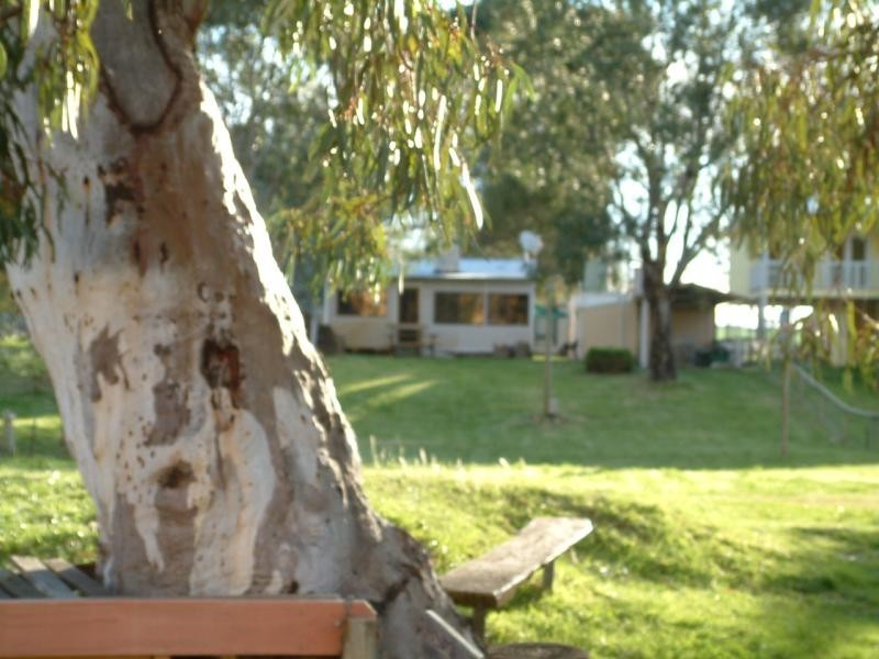 21 Rob Loxton Road, Walker Flat SA 5238