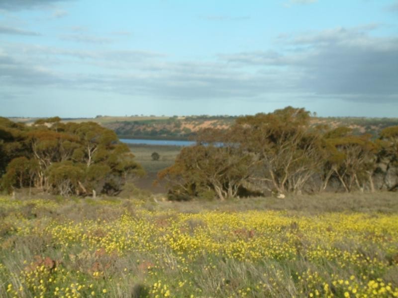 Section 583/ Stockwell Road, Mannum SA 5238