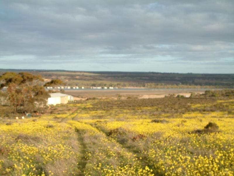 Section 583/ Stockwell Road, Mannum SA 5238