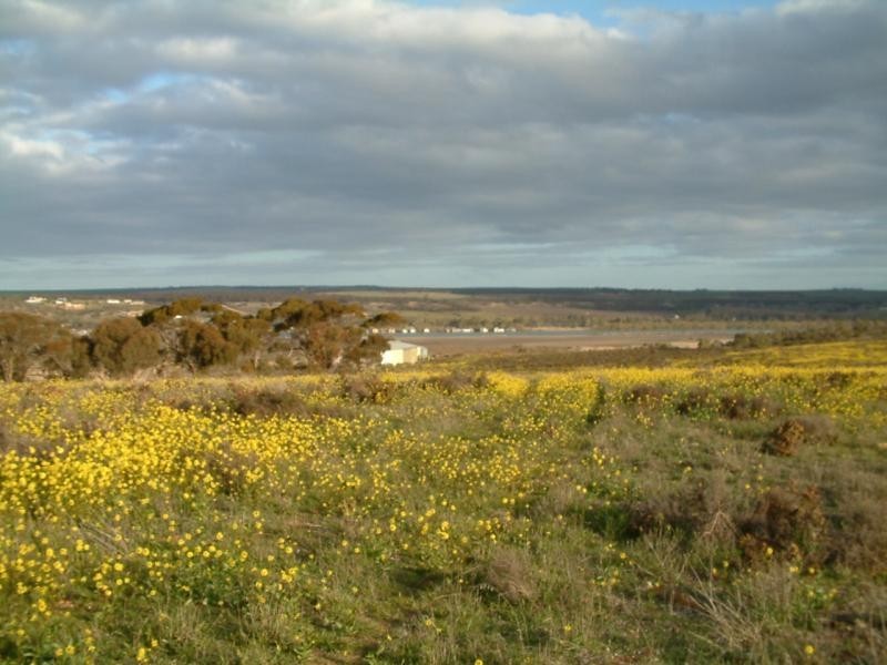 Section 583/ Stockwell Road, Mannum SA 5238