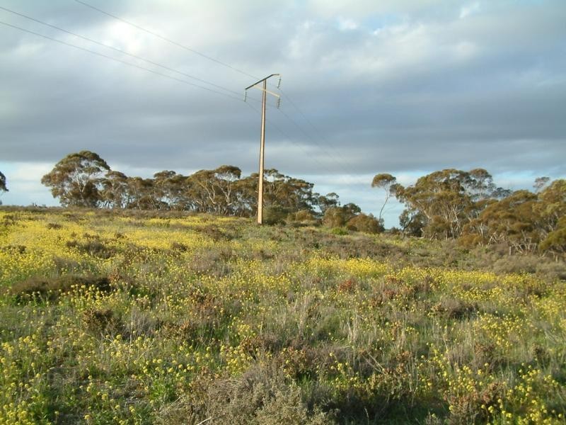 Section 583/ Stockwell Road, Mannum SA 5238