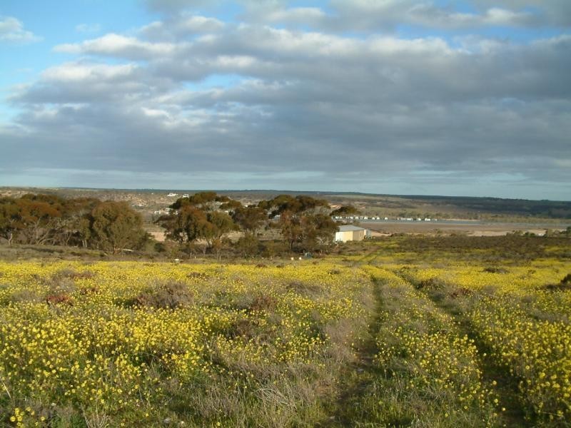 Section 583/ Stockwell Road, Mannum SA 5238