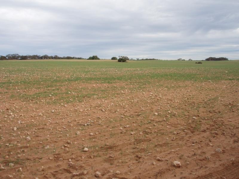 Section 183/ Marne River Road, Mannum SA 5238