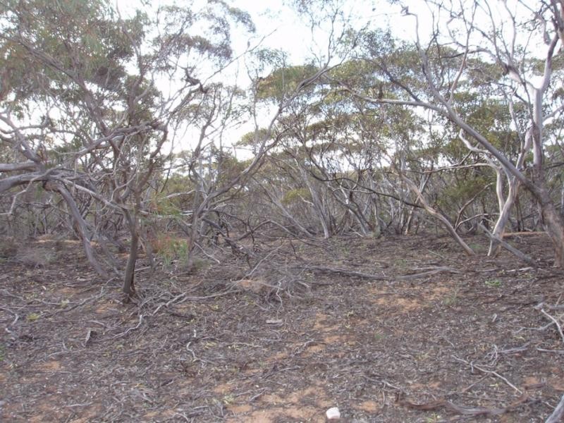 Section 183/ Marne River Road, Mannum SA 5238