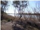 Lot 534/ Government Road, Wongulla SA 5238