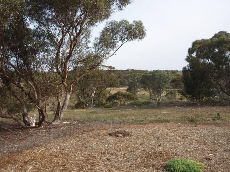 Lot 4/ Black Hill – Cambrai Road BLACK HILL near, Mannum SA 5238
