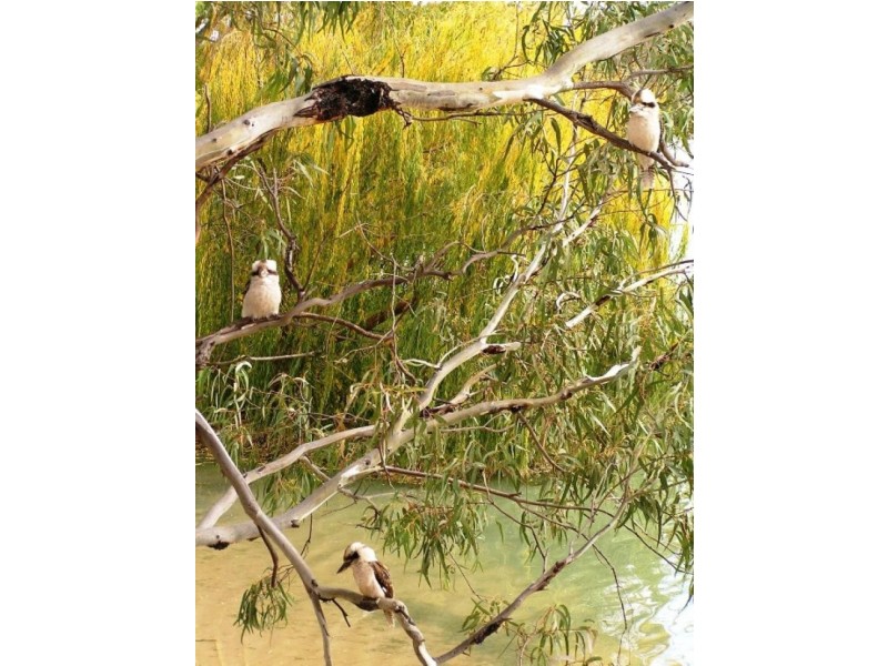 6 Greenways Landing NILDOTTIE  via, Mannum SA 5238