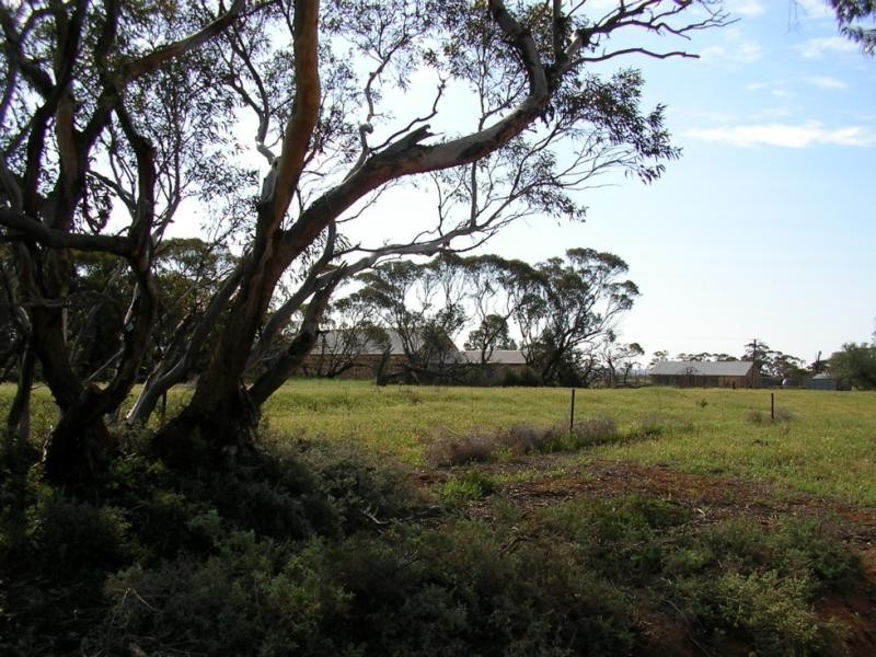 Lot 2/ Schirmer Road, Sedan SA 5353