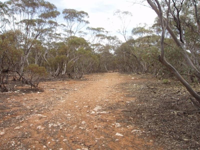 Lot 32/ Government Road, Black Hill SA 5353