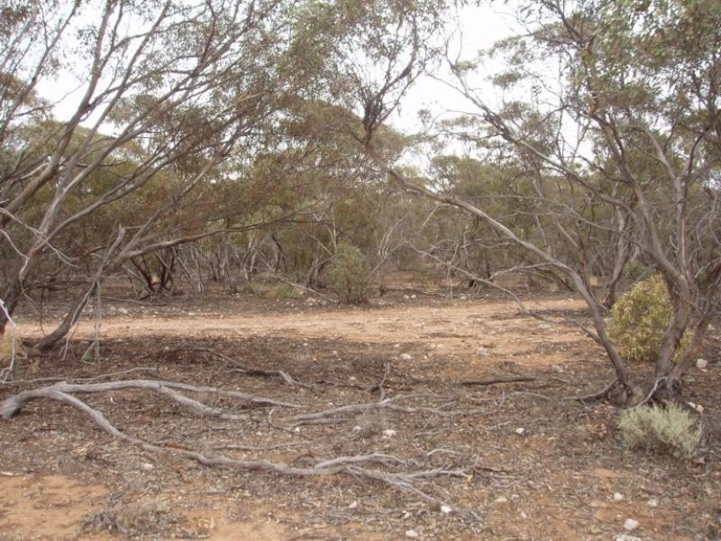 Lot 32/ Government Road, Black Hill SA 5353