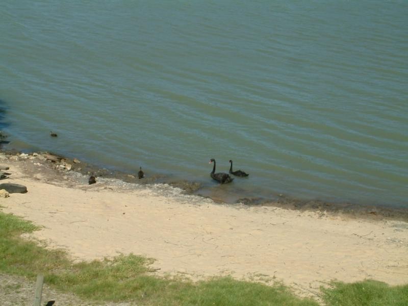 54 River Lane, Mannum SA 5238