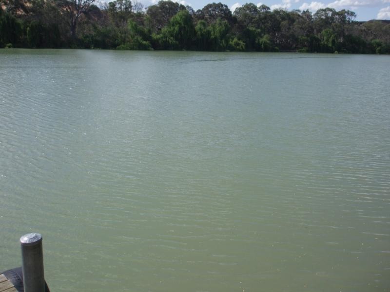 100 Providence Drive BOW HILL via, Mannum SA 5238