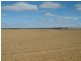 Lot 101/102 Frayville PALMER, Mannum SA 5238