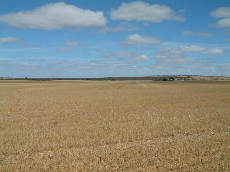 Lot 101/102 Frayville PALMER, Mannum SA 5238