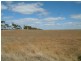 Lot 101/102 Frayville PALMER, Mannum SA 5238